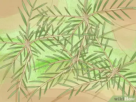 Imagem intitulada Identify Weeds Step 18