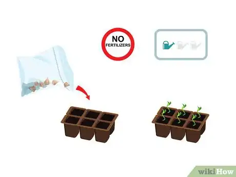 Imagem intitulada Start a Bonsai Tree Step 14