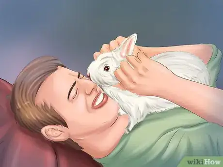 Imagem intitulada Make Your Rabbit Like You Step 3