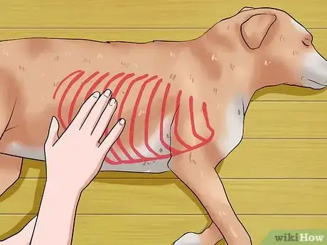 Imagem intitulada Help Your Dog Lose Weight Step 2