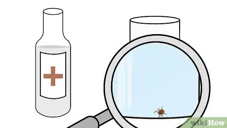 Imagem intitulada Remove a Tick Step 14