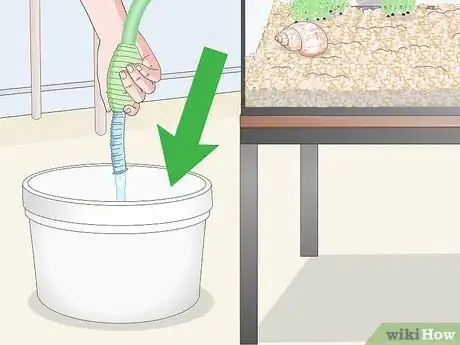 Imagem intitulada Clean Fish Tank Rocks Step 9