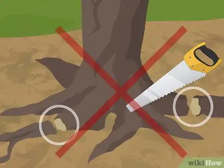 Imagem intitulada Dig up Tree Roots Step 3