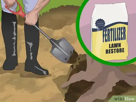 Imagem intitulada Dig up Tree Roots Step 10