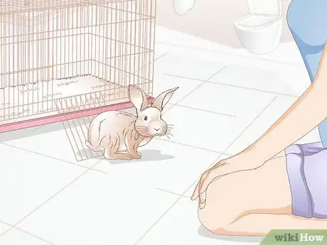 Imagem intitulada Calm a Vicious Rabbit Step 5