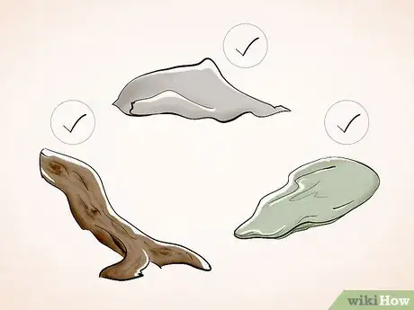 Imagem intitulada Care for a Toad Step 3