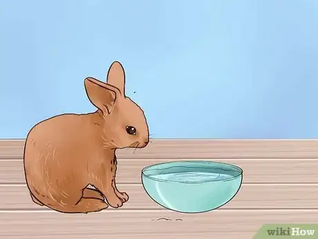 Imagem intitulada Feed Baby Rabbits Step 11