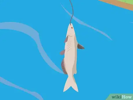 Imagem intitulada Catch Brook Trout Step 7