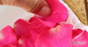 Secar Pétalas de Rosa