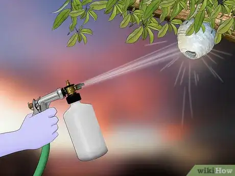 Imagem intitulada Get Rid of Wasps Step 16
