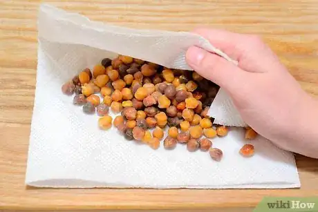 Imagem intitulada Cook Chickpeas Step 16