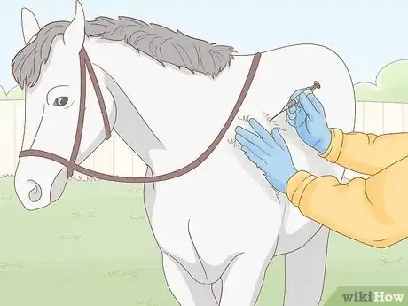 Imagem intitulada Give a Horse an Injection Step 2