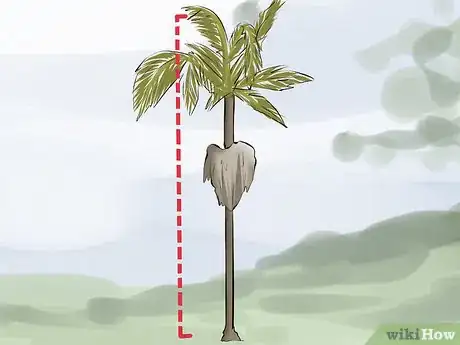 Imagem intitulada Remove a Palm Tree Step 2