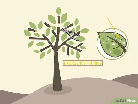 Imagem intitulada Prune a Cherry Tree Step 15