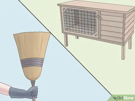 Imagem intitulada Stop a Rabbit from Smelling Step 2