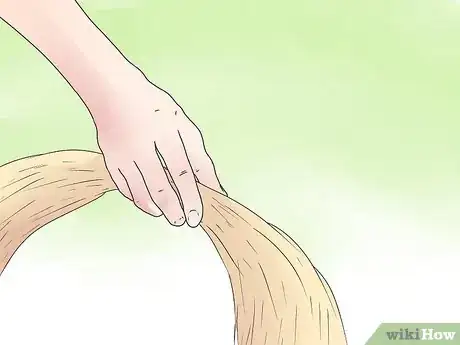 Imagem intitulada Care for Mini Lop Rabbits Step 5