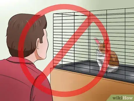 Imagem intitulada Buy a Rabbit Step 1