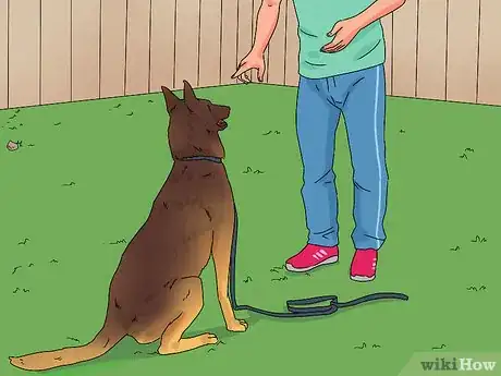 Imagem intitulada Train a Dog Step 11