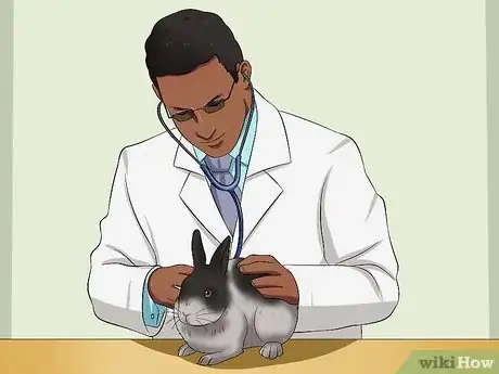 Imagem intitulada Buy a Rabbit Step 4