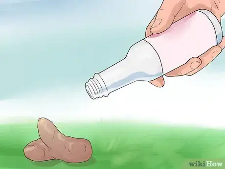 Imagem intitulada Stop Dogs from Eating Dog Poop Step 7