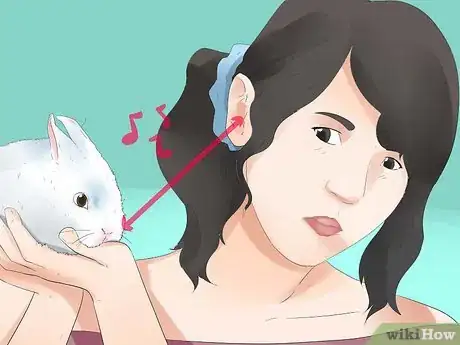 Imagem intitulada Understand Your Rabbit Step 2