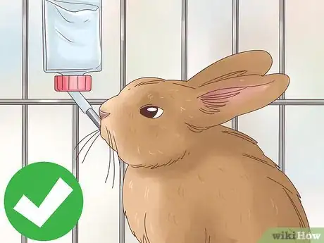 Imagem intitulada Treat Diarrhea in Rabbits Step 4