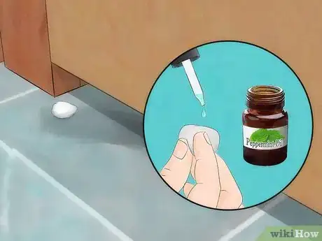 Imagem intitulada Get Rid of Mice Naturally Step 9