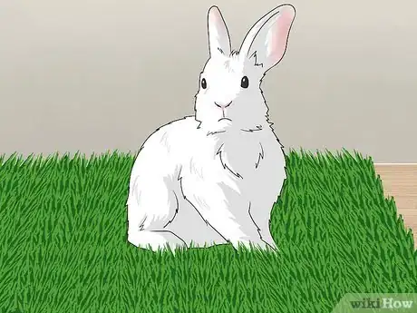 Imagem intitulada Make Homemade Rabbit Toys Step 3