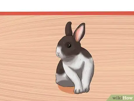 Imagem intitulada Care for a House Rabbit Step 1
