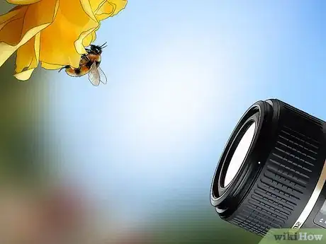 Imagem intitulada Get Rid of Bees Step 2