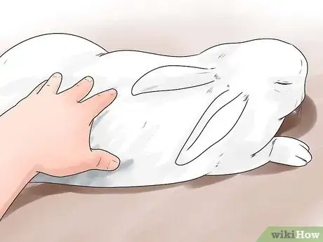 Imagem intitulada Breed Rabbits Step 15