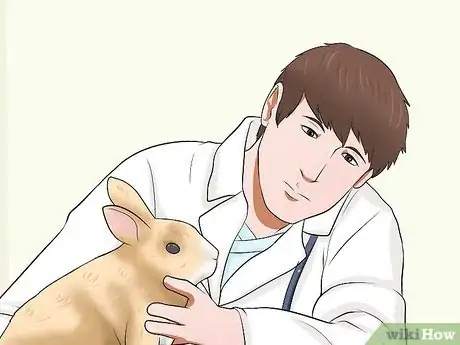 Imagem intitulada Care for a House Rabbit Step 7