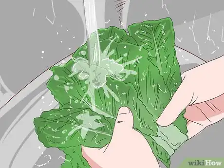 Imagem intitulada Recover from Typhoid Fever Step 18