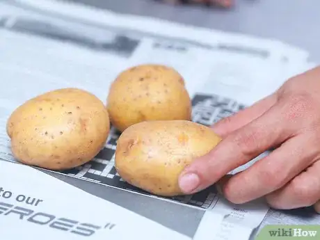 Imagem intitulada Store Potatoes Step 5