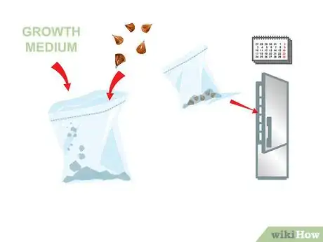Imagem intitulada Start a Bonsai Tree Step 13