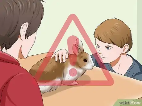 Imagem intitulada Care for a House Rabbit Step 4