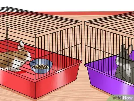 Imagem intitulada Introduce Rabbits Step 4