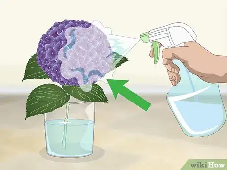 Imagem intitulada Keep Hydrangeas Alive Step 4