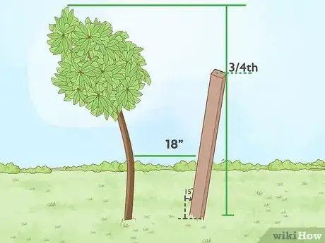 Imagem intitulada Straighten a Tree Step 1