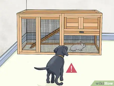 Imagem intitulada Keep a Rabbit in an Apartment Step 18