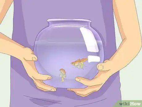 Imagem intitulada Transport Fish Step 9