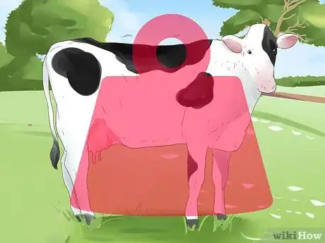Imagem intitulada Know when a Heifer or Cow Is Ready to Be Bred Step 3