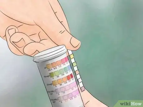 Imagem intitulada Test Water Quality Step 6