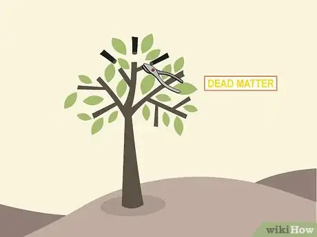 Imagem intitulada Prune a Cherry Tree Step 11