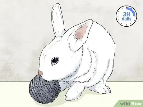 Imagem intitulada Keep a Rabbit in an Apartment Step 16