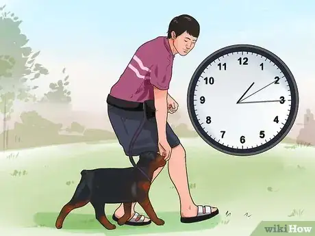 Imagem intitulada Train a Rottweiler Step 9
