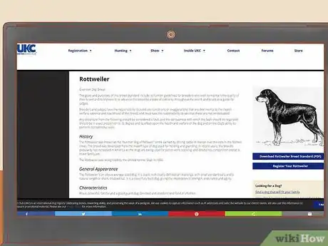 Imagem intitulada Identify a Rottweiler Step 12