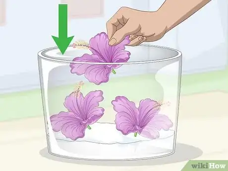 Imagem intitulada Dry a Hibiscus Flower Step 3