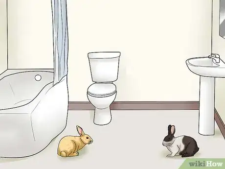 Imagem intitulada Introduce Rabbits Step 6