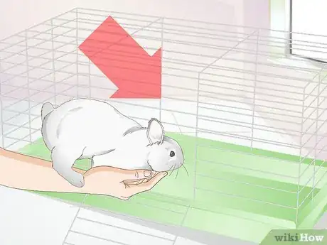 Imagem intitulada Clean a Rabbit Cage Step 7